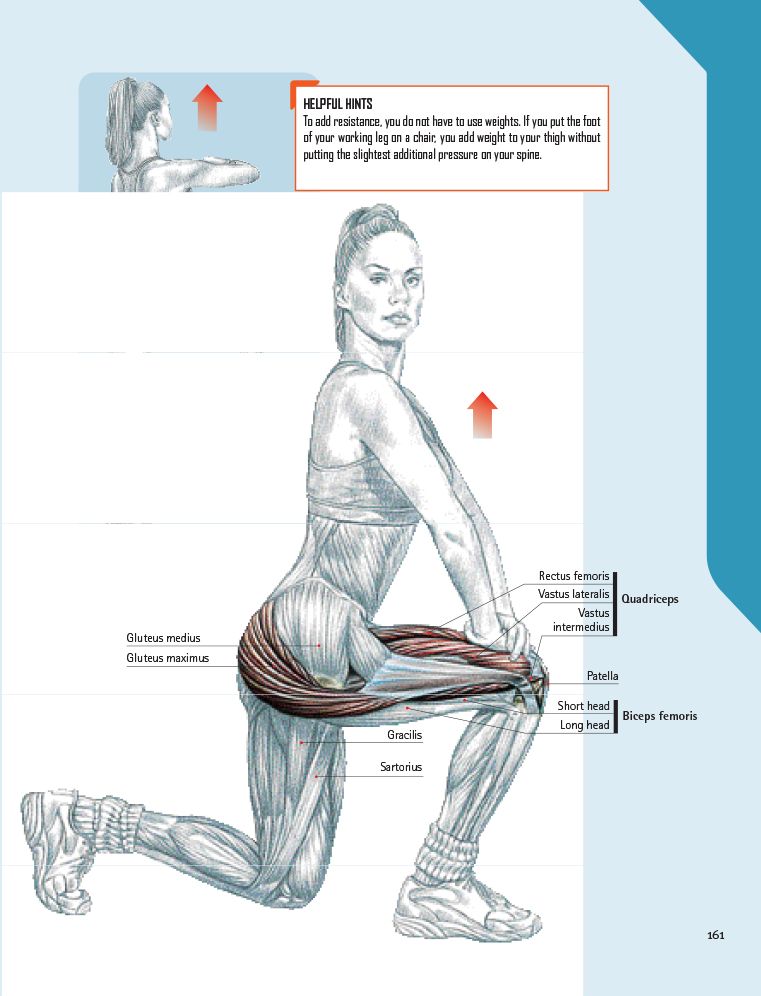 The Strength Training Anatomy Workout