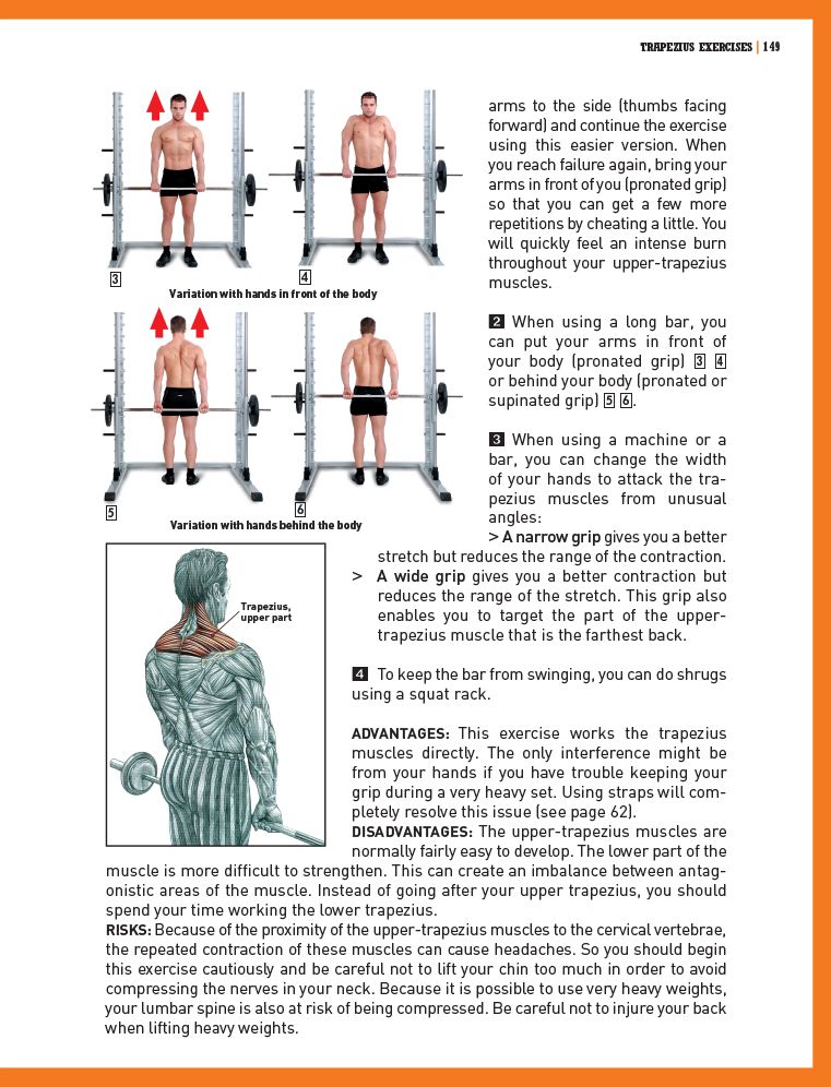 The Strength Training Anatomy Workout II