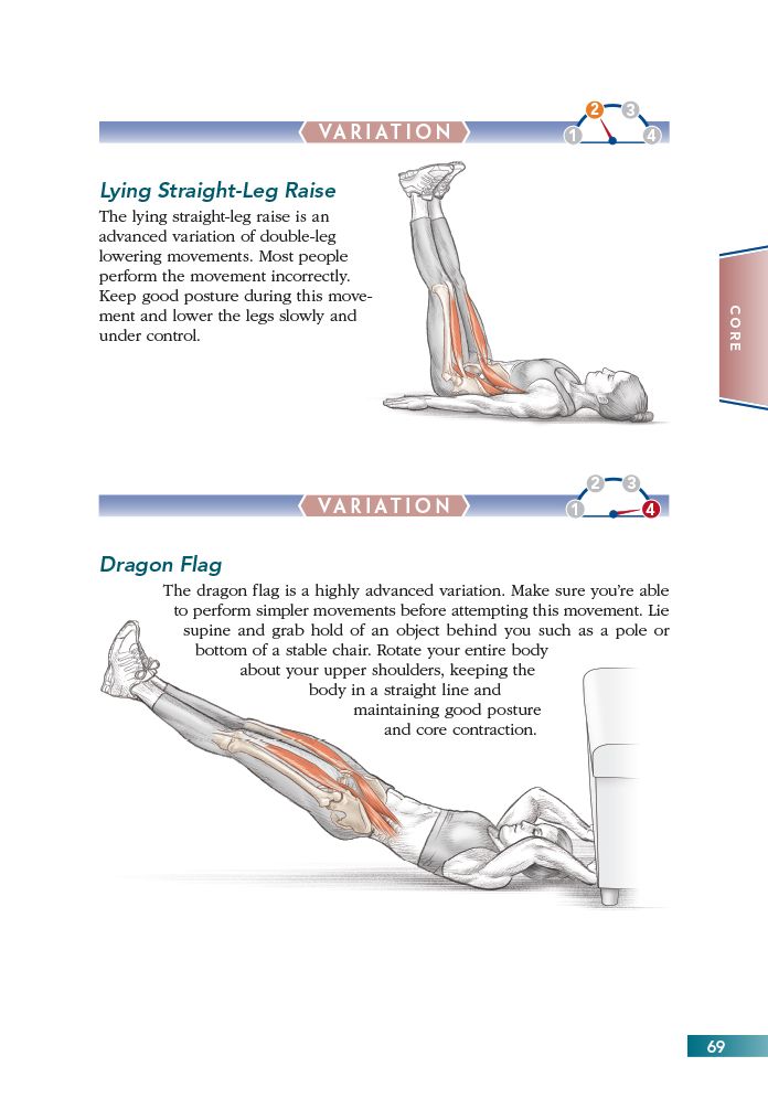 Bodyweight Strength Anatomy