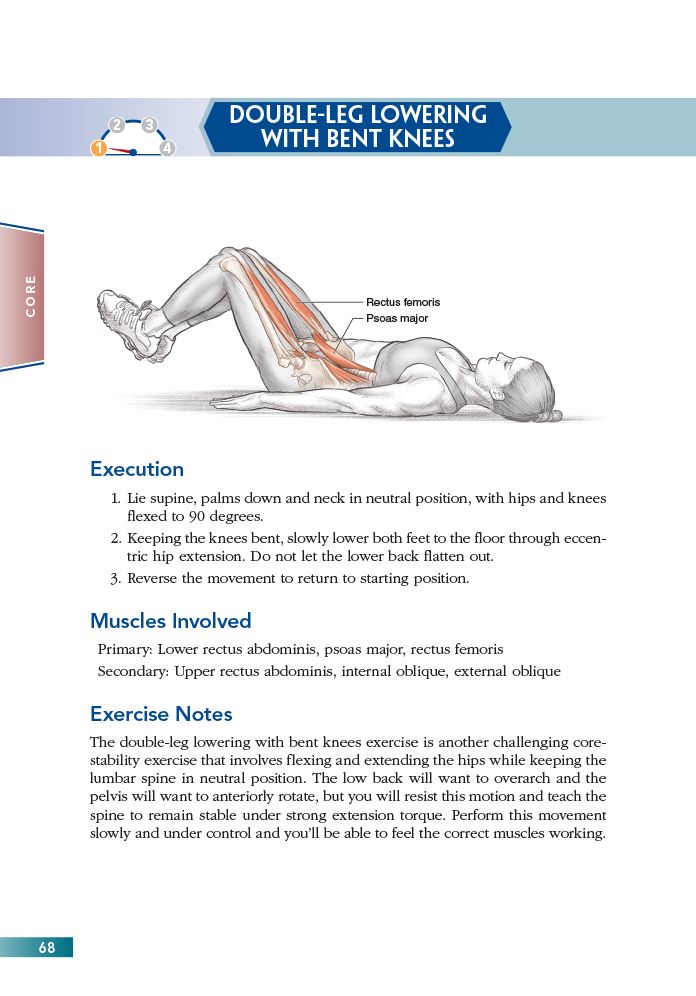 Bodyweight Strength Anatomy