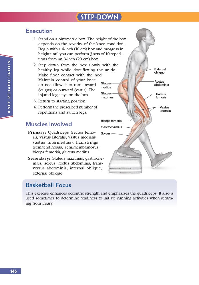 Basketball Anatomy