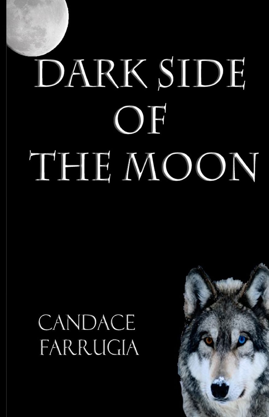 Dark Side Of The Moon