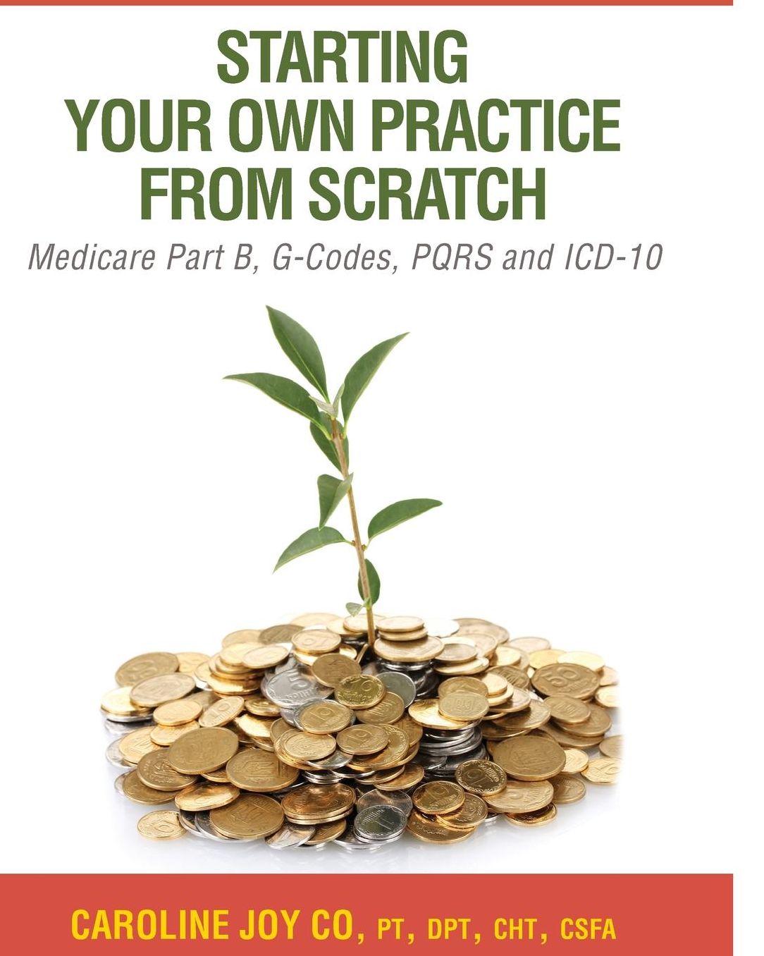 Starting your Own Practice from Scratch: A Guide for Chiropractors, Occupational Therapists and Physical Therapists