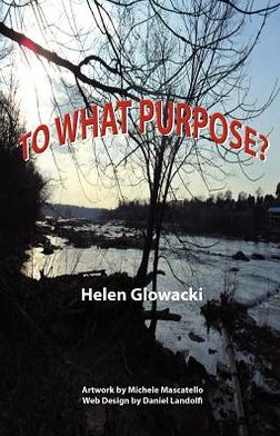 To What Purpose?: Why God Why Series Vol. 1