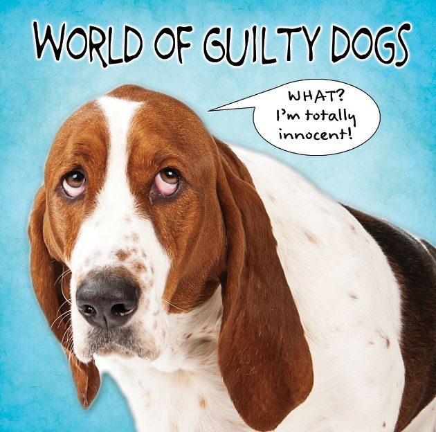 World of Guilty Dogs