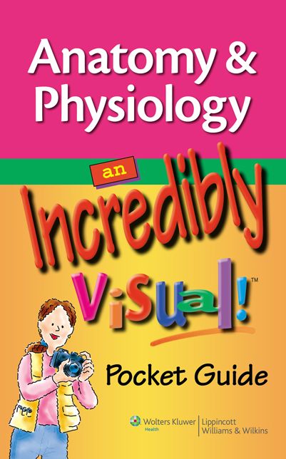 Anatomy & Physiology: An Incredibly Visual! Pocket Guide