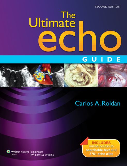 The Ultimate Echo Guide