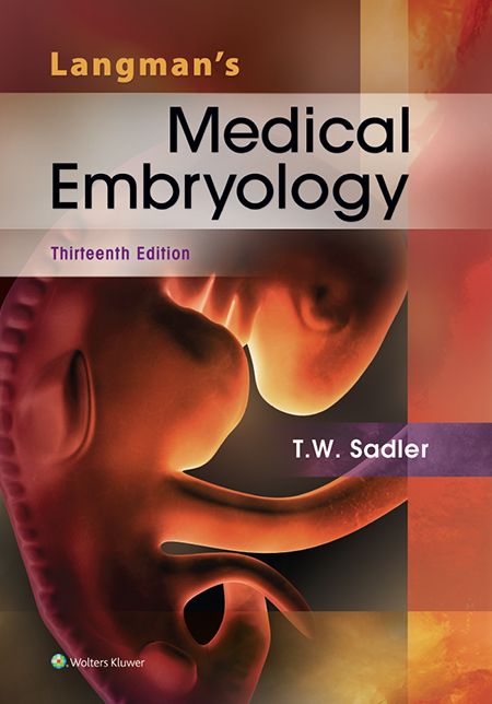 Langman's Medical Embryology