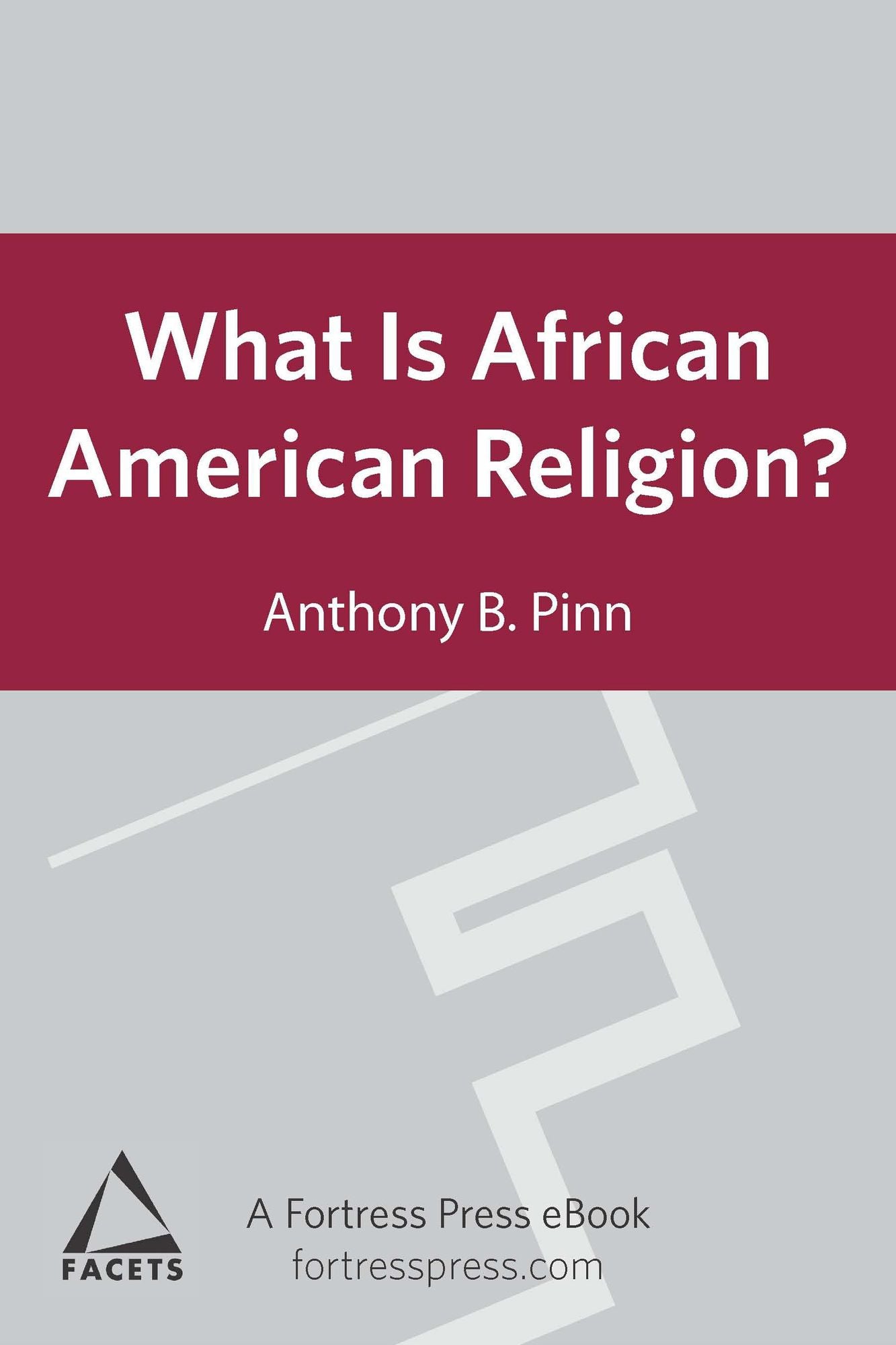 What is African American Religion?: Facets Series