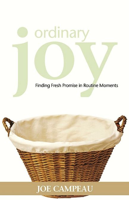 Ordinary Joy