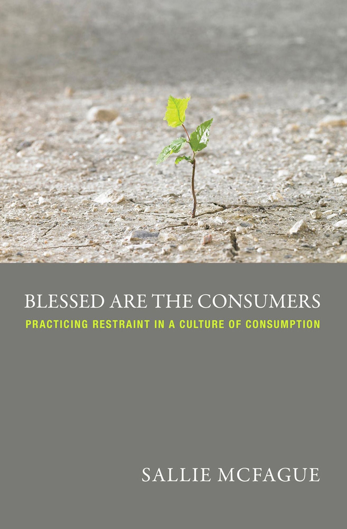 Blessed are the Consumers -- A Fortress Digital Review: Practicing Restraint in a Culture of Consumption