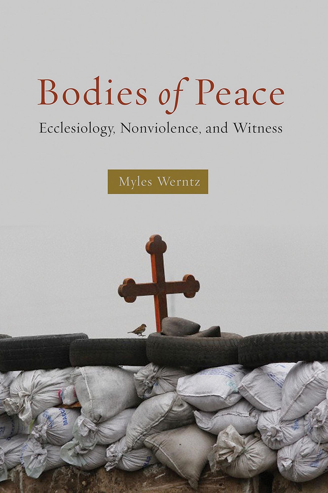 Bodies of Peace: Ecclesiology, Nonviolence,and Witness