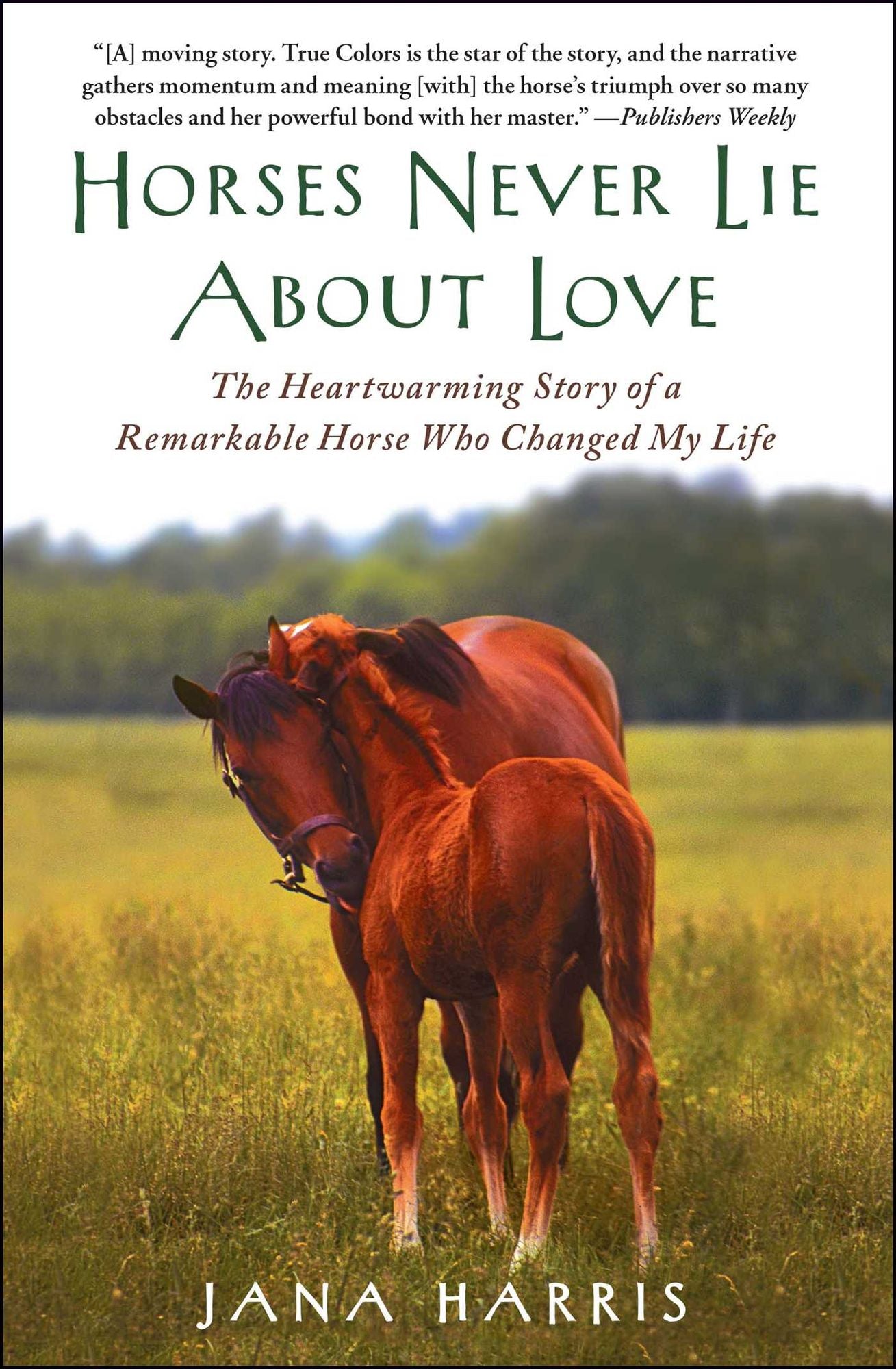 Horses Never Lie about Love: The Heartwarming Story of a Remarkable Horse Who Changed the World around Her