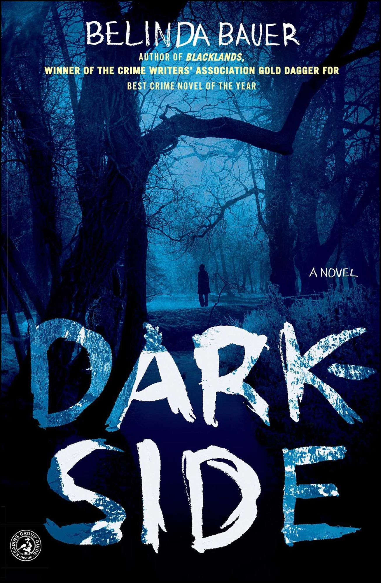 Darkside: A Novel