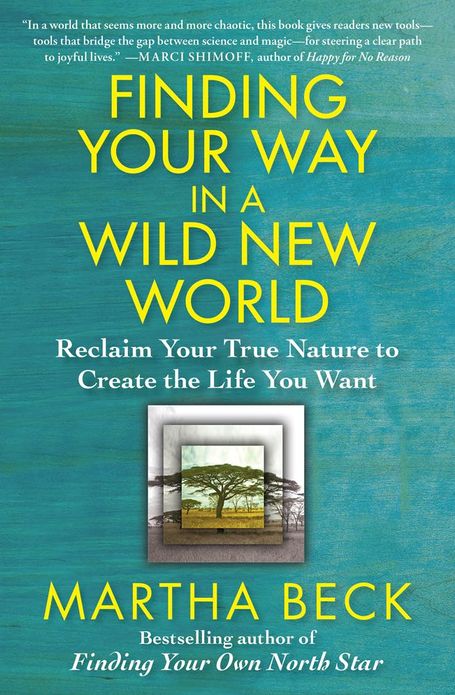 Finding Your Way in a Wild New World: Reclaim Your True Nature to Create the Life You Want