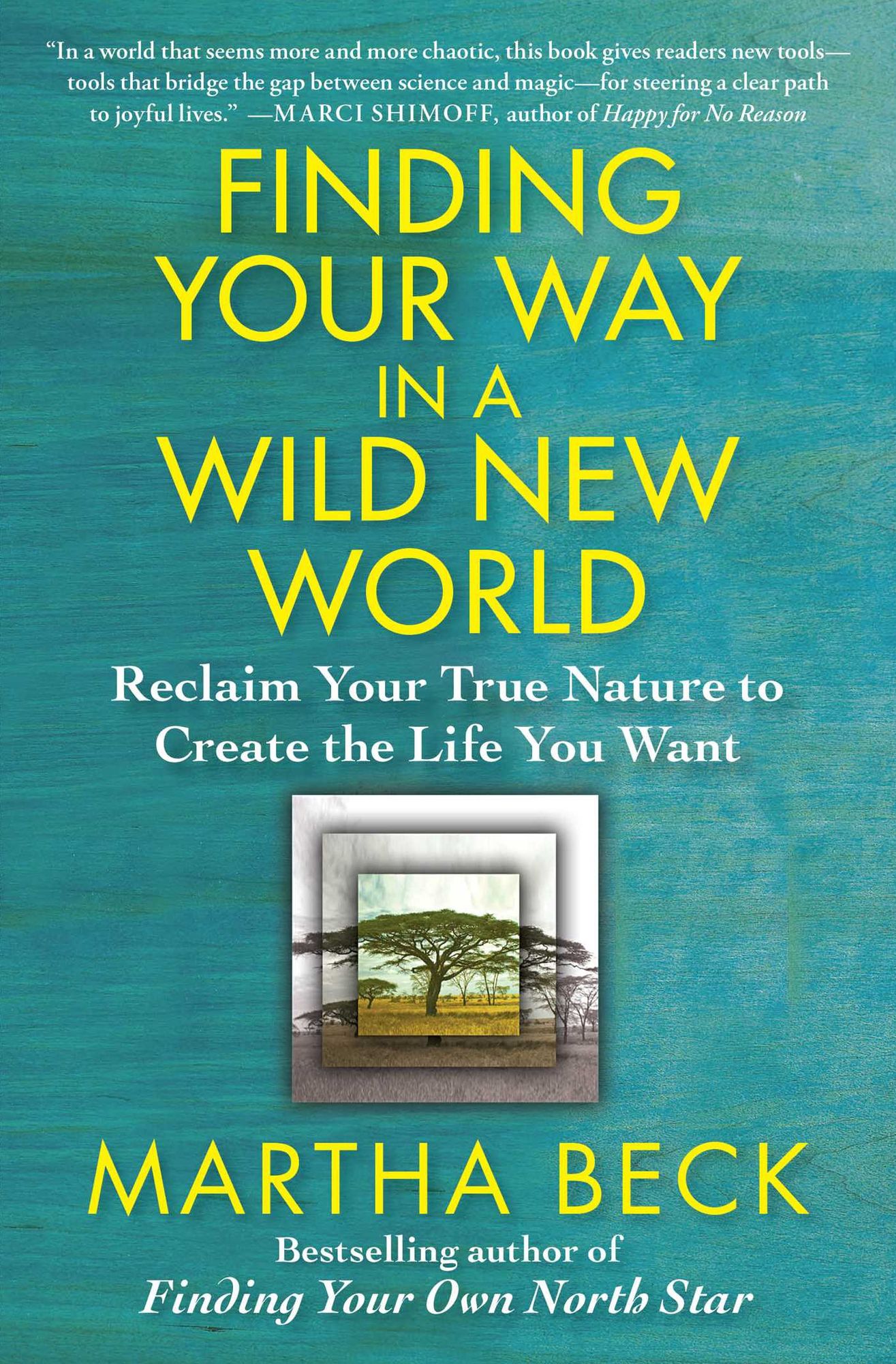 Finding Your Way in a Wild New World: Reclaim Your True Nature to Create the Life You Want