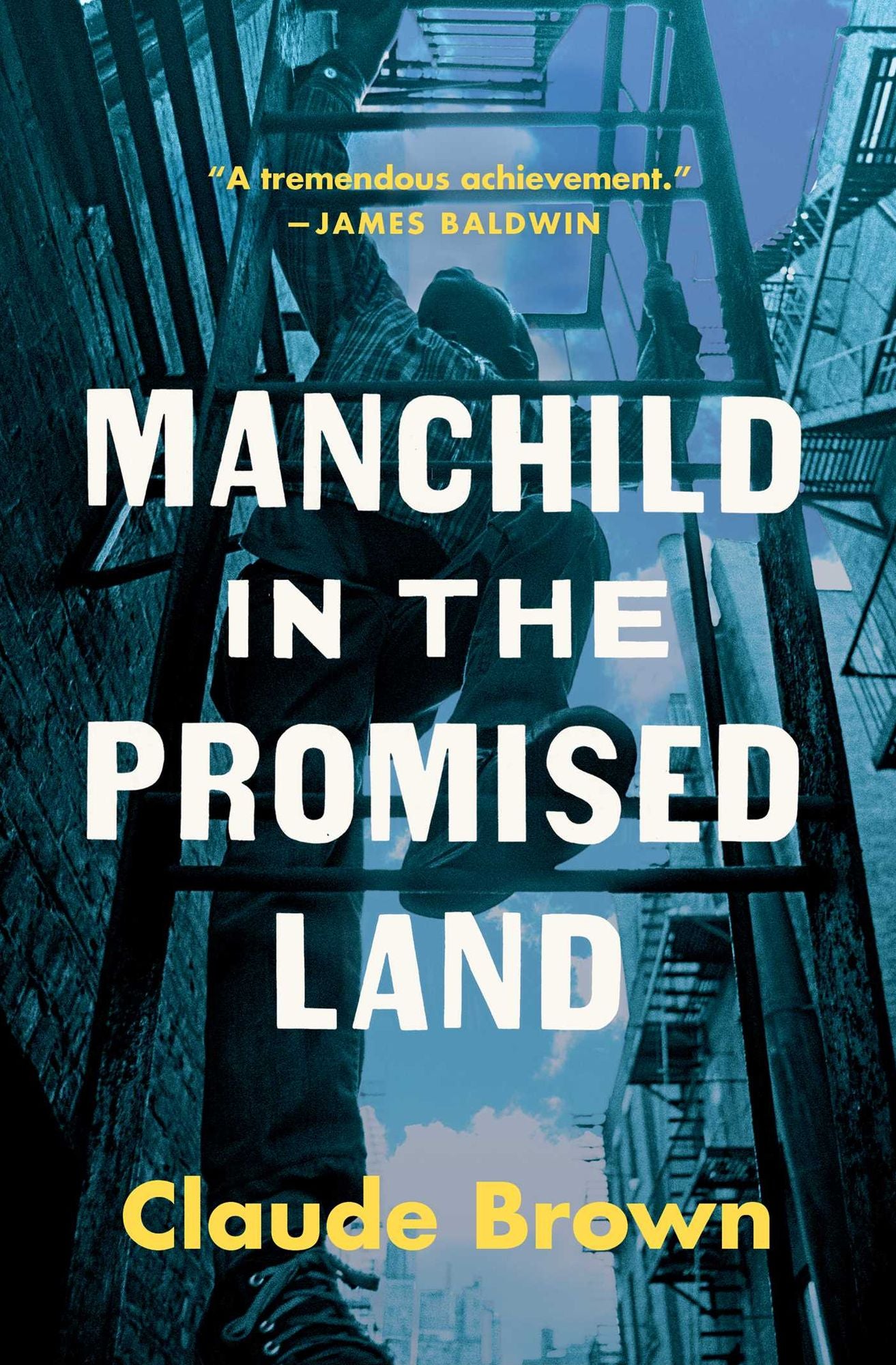 Manchild in the Promised Land