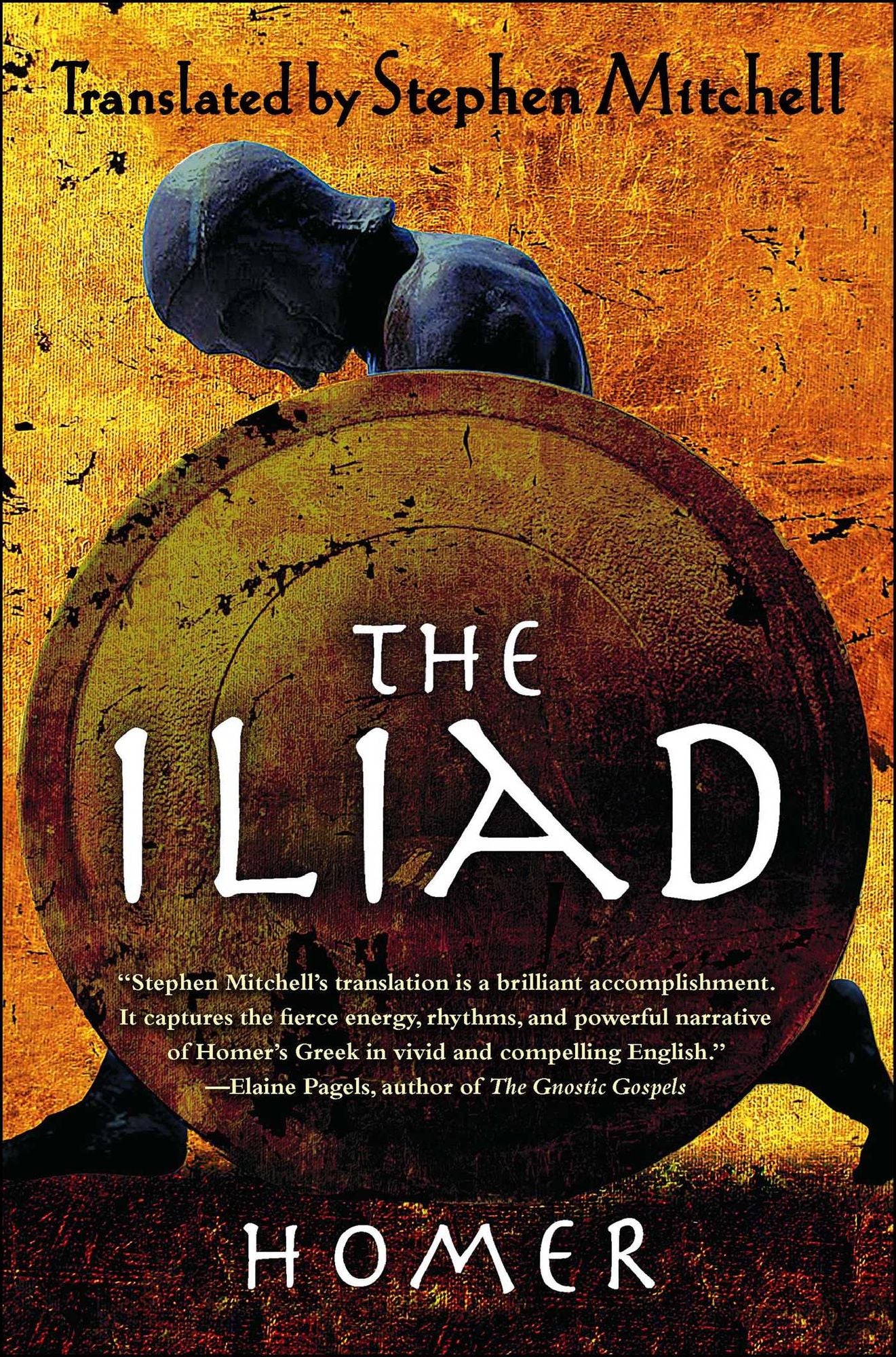The Iliad: Translated by Stephen Mitchell