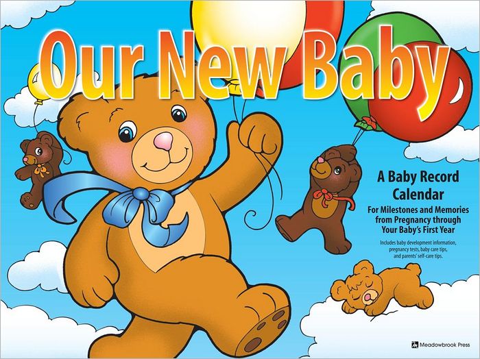 Our New Baby Calendar: A Baby Record Calendar