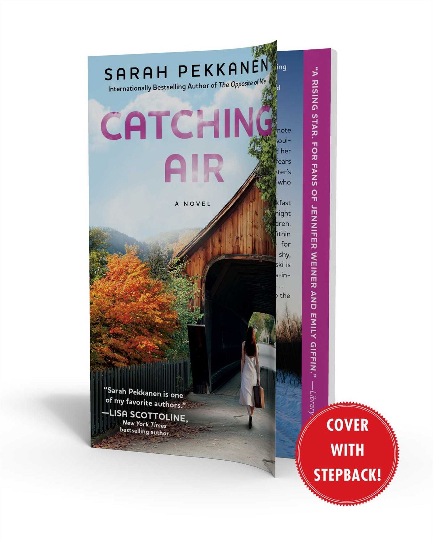 Catching Air: A Novel