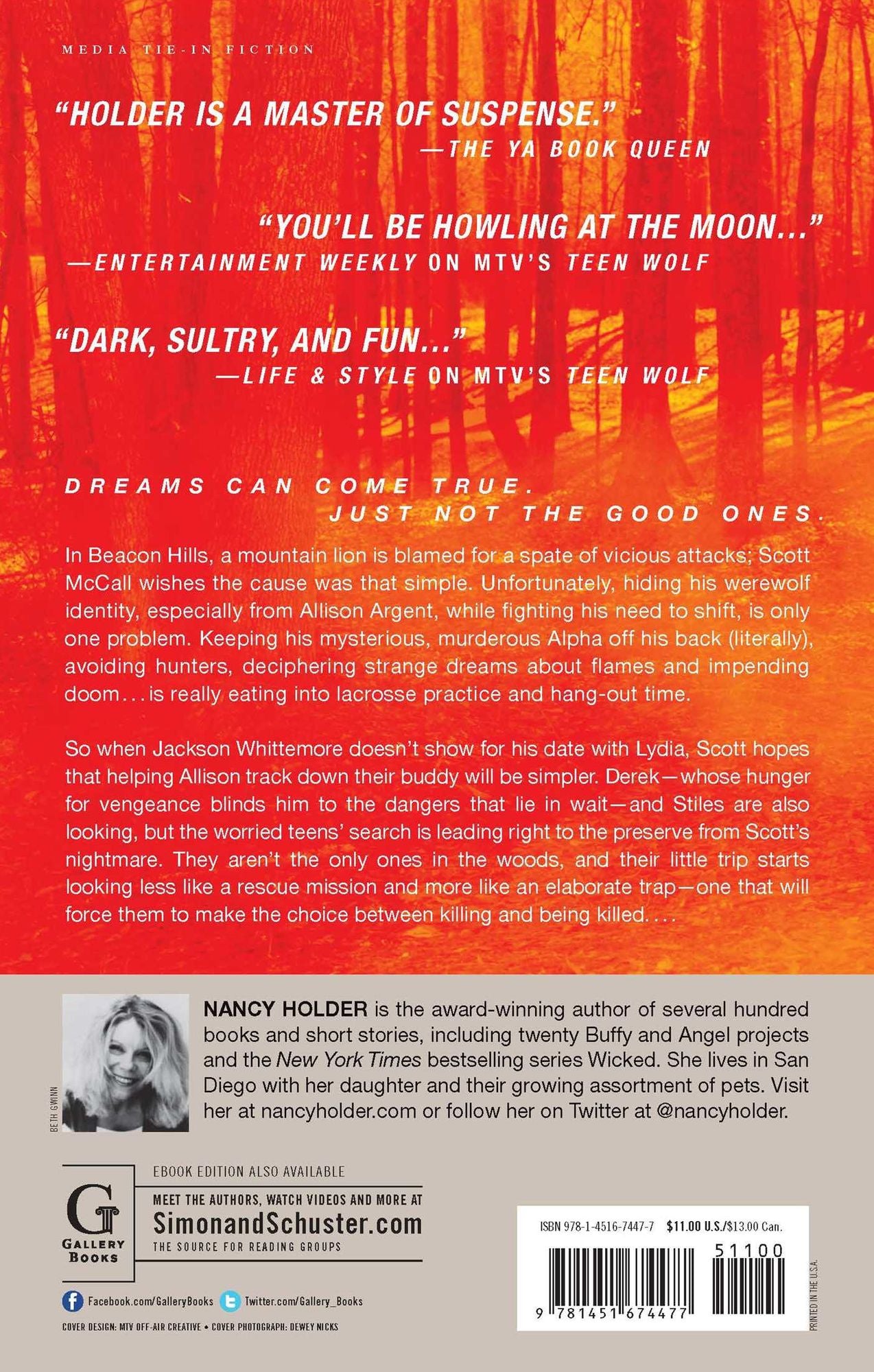 On Fire: A Teen Wolf Novel