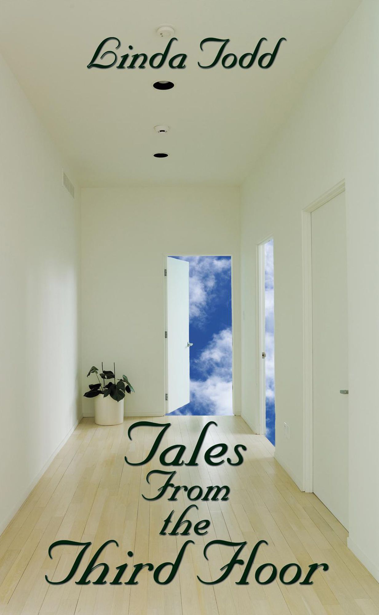 Tales from the Third Floor