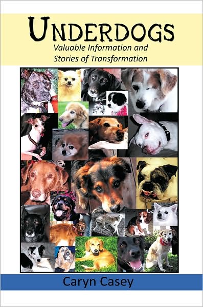 Underdogs: Valuable Information and Stories of Transformation