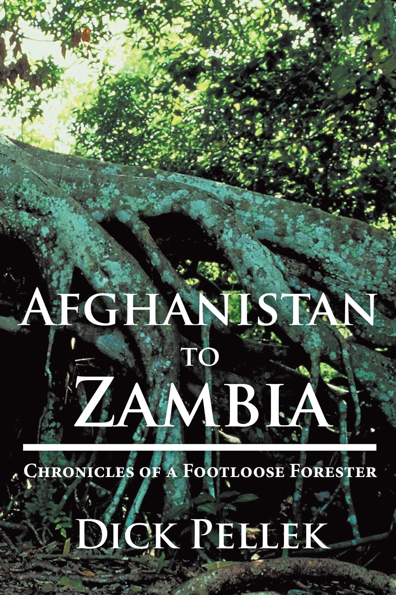 Afghanistan to Zambia: Chronicles of a Footloose Forester
