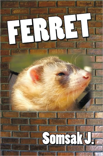 Ferret