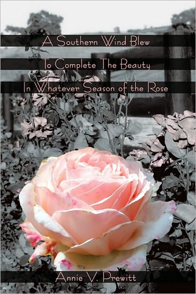 A Southern Wind Blew To Complete The Beauty In Whatever Season of the Rose