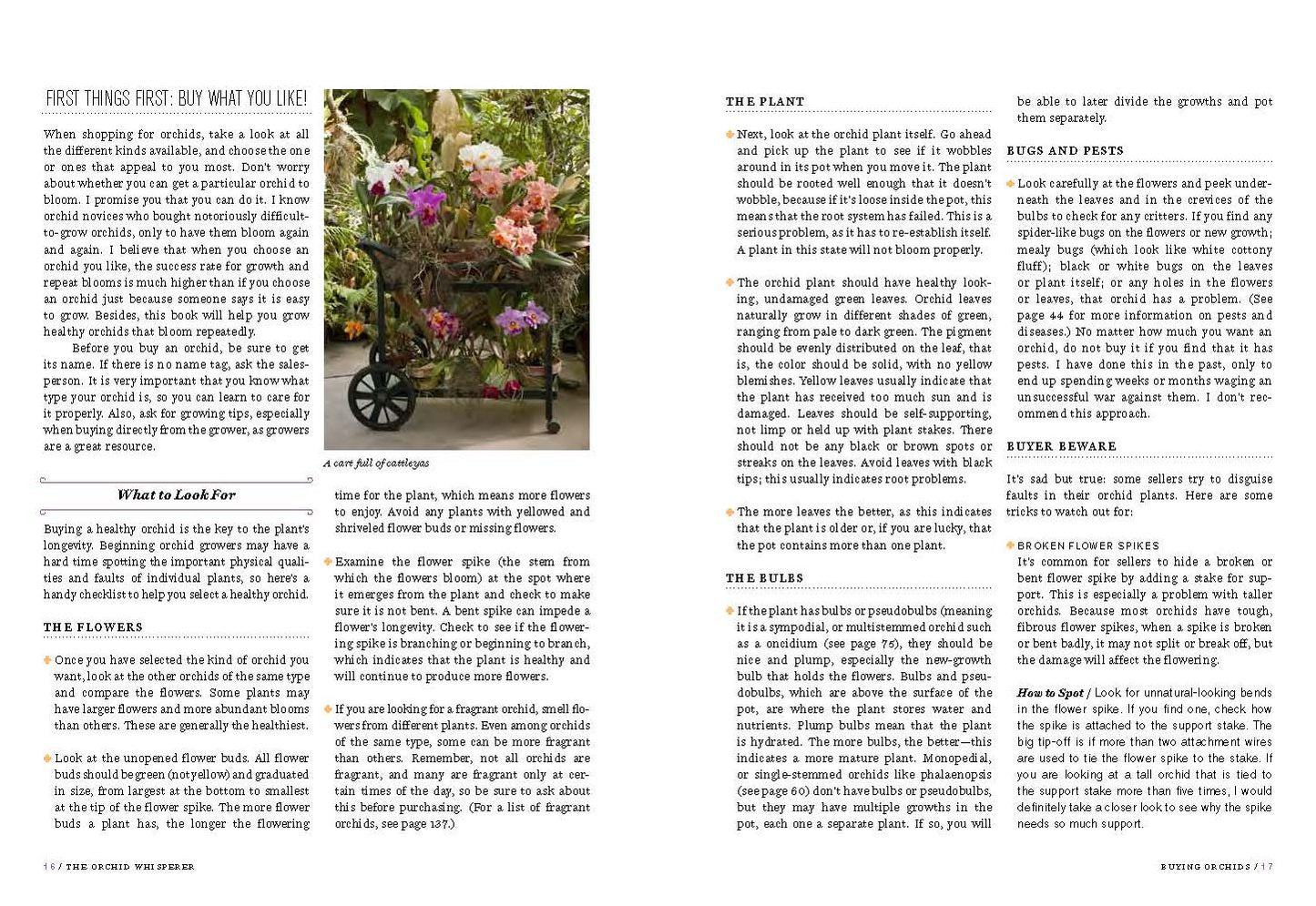 The Orchid Whisperer: Expert Secrets for Growing Beautiful Orchids