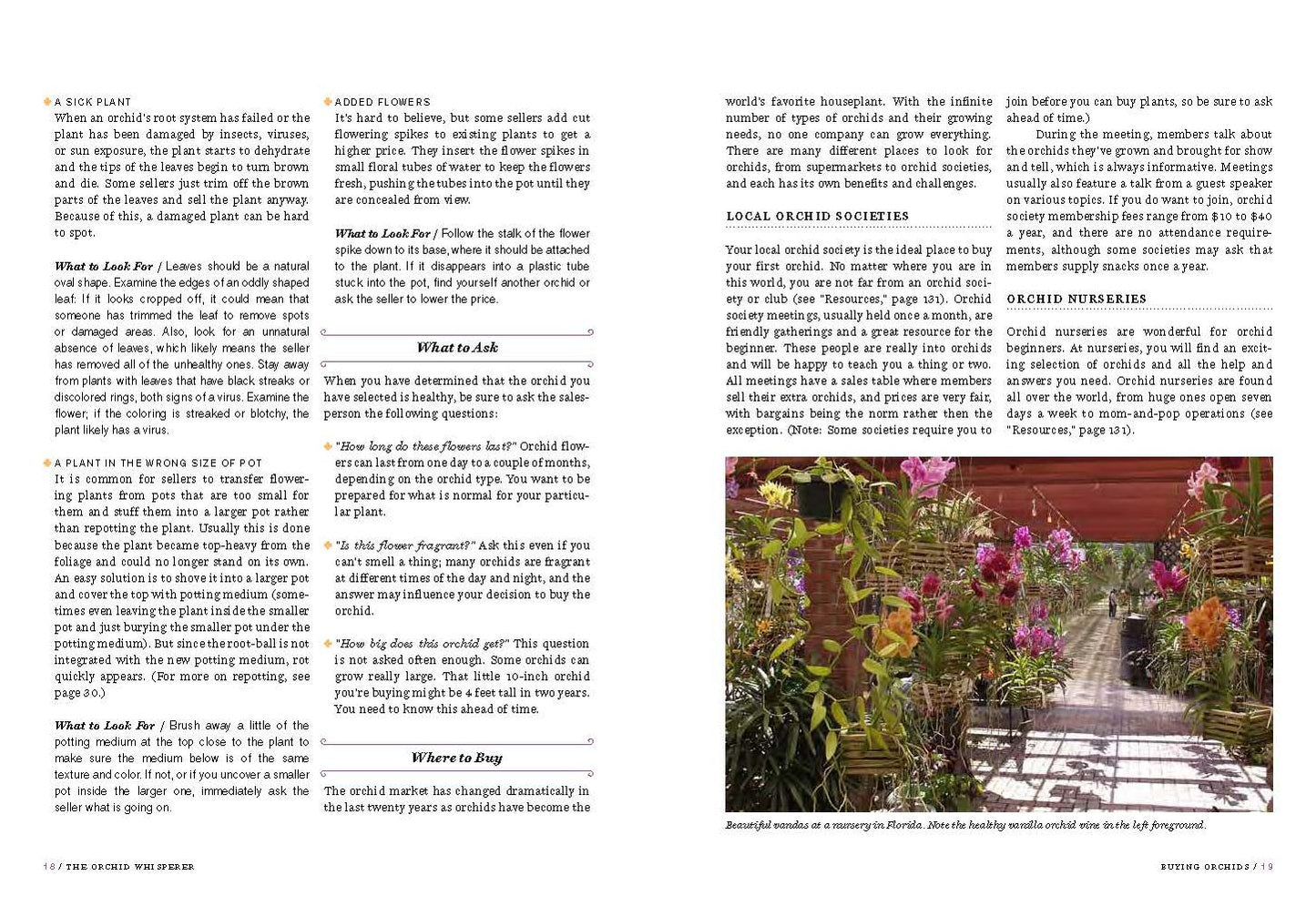 The Orchid Whisperer: Expert Secrets for Growing Beautiful Orchids