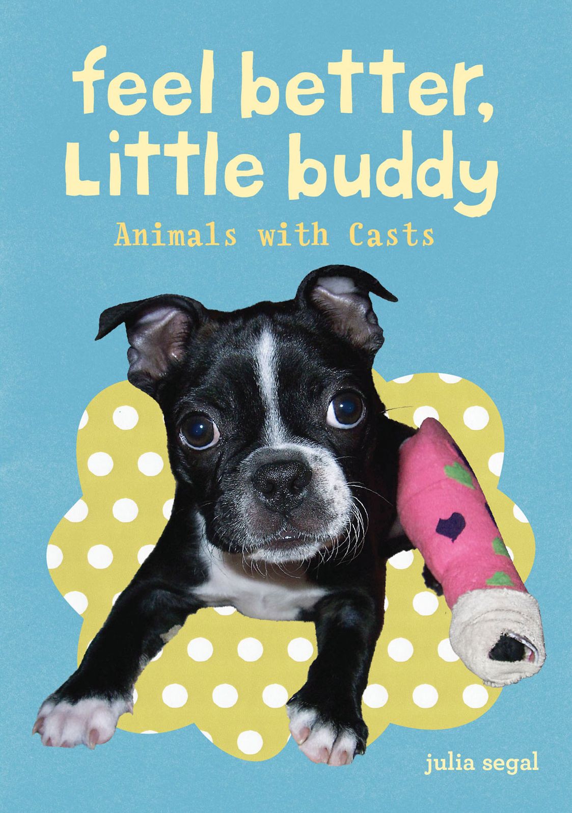 Feel Better Little Buddy: Animals with Casts