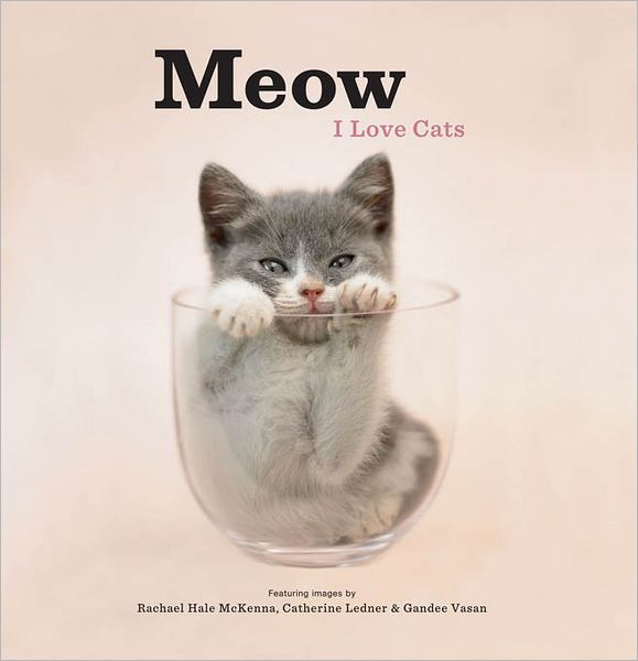 Meow: I Love Cats