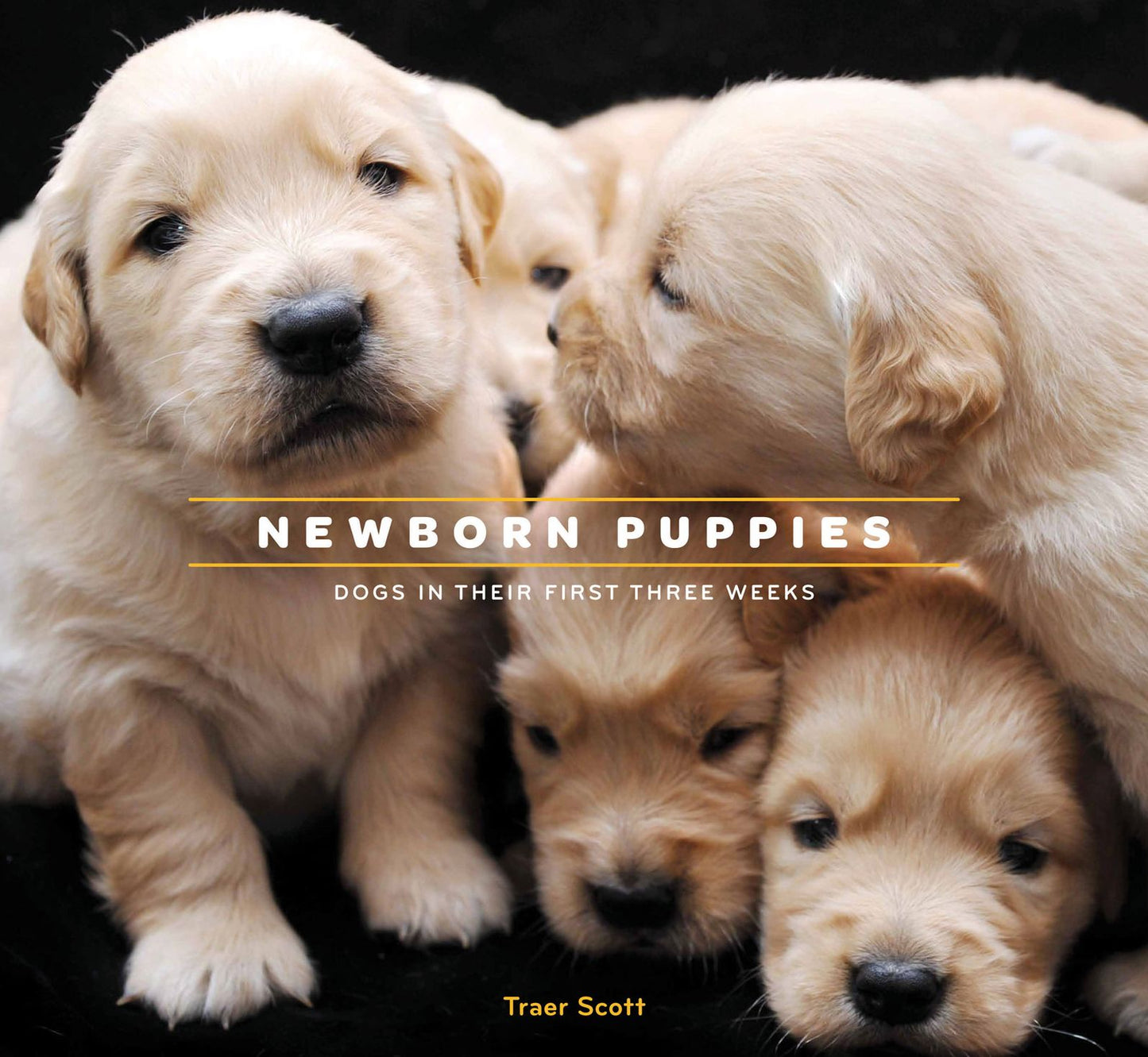 Newborn Puppies: Dogs in Their First Three Weeks