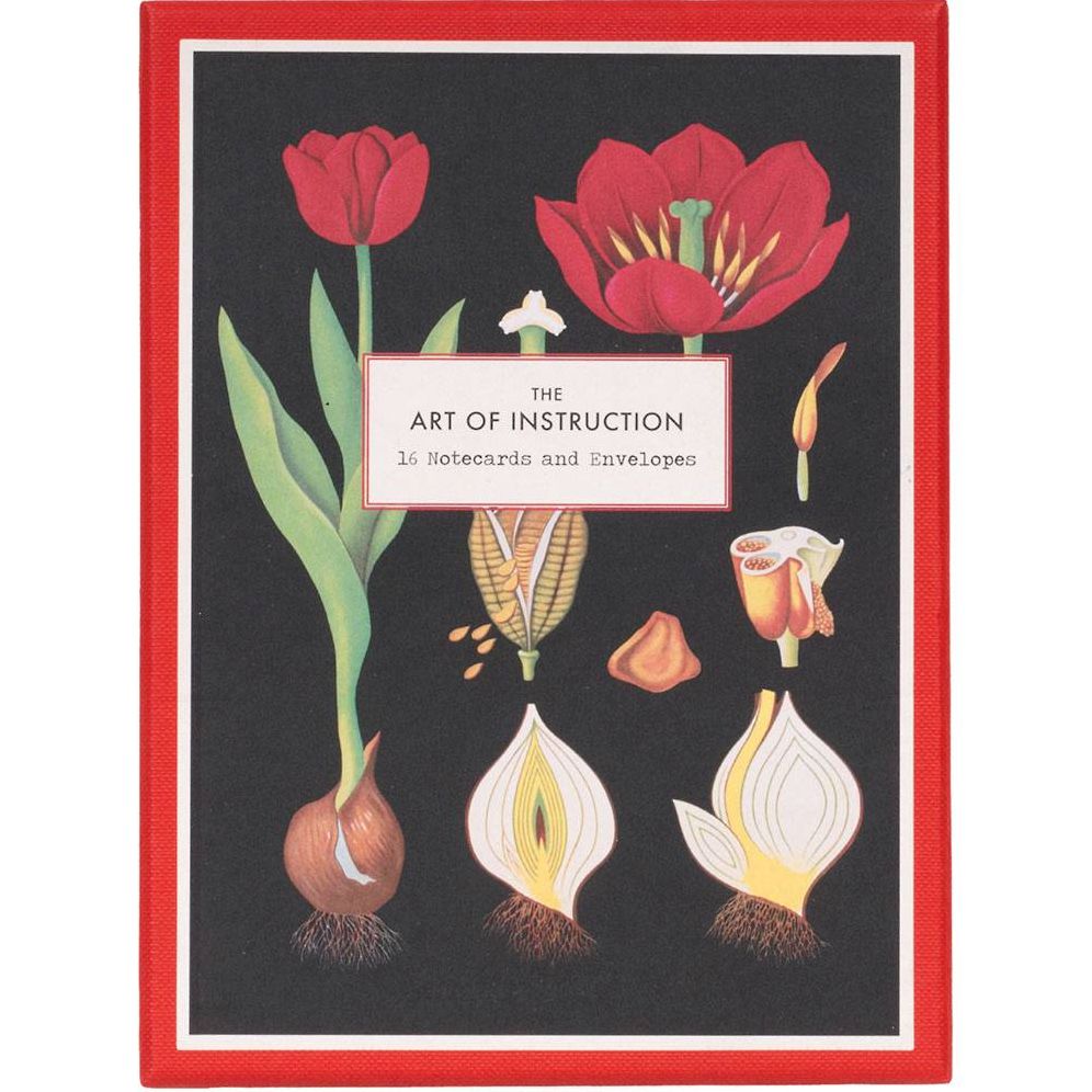 The Art of Instruction Notecard Set: 16 Notecards and Envelopes