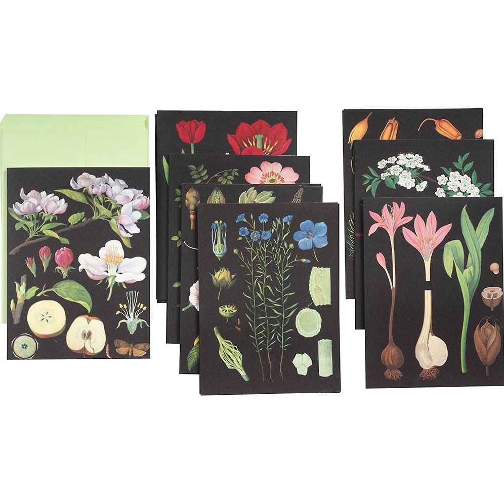 The Art of Instruction Notecard Set: 16 Notecards and Envelopes