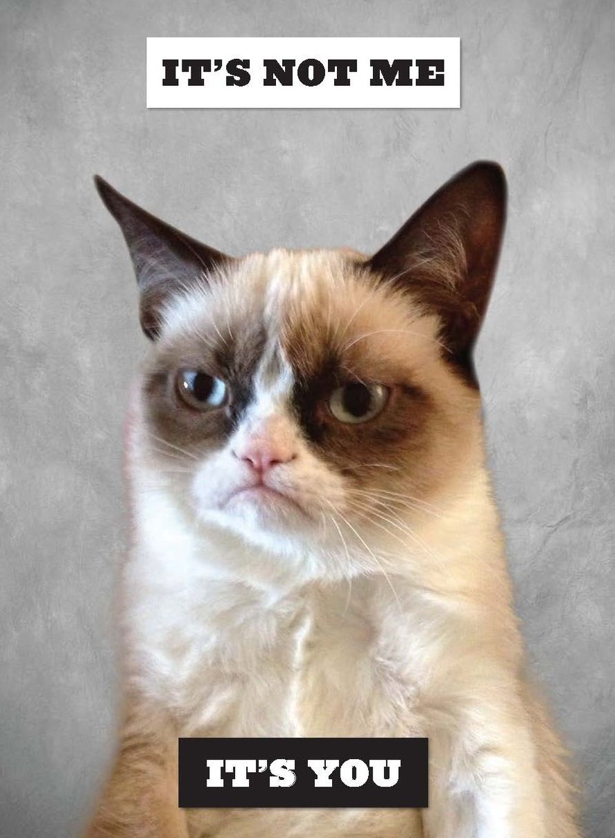 Grumpy Cat: A Grumpy Book