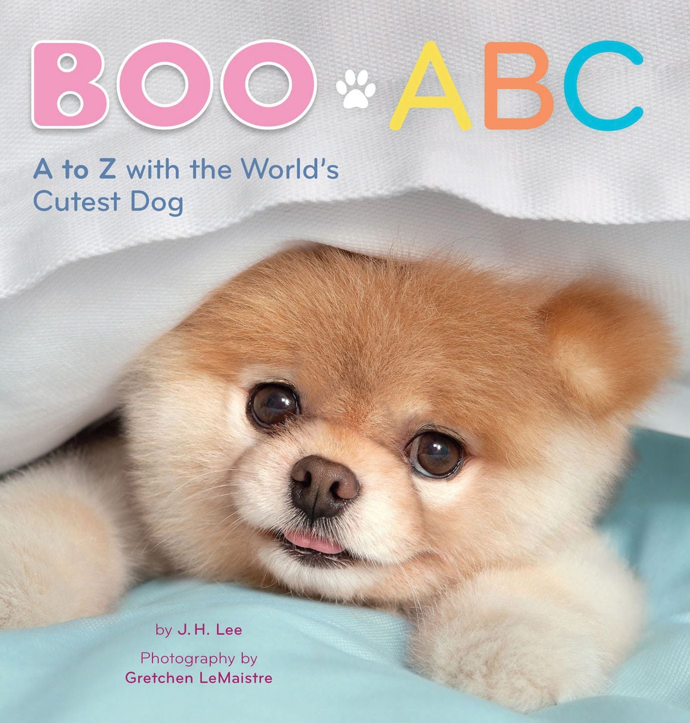 Boo ABC: A to Z with the World's Cutest Dog