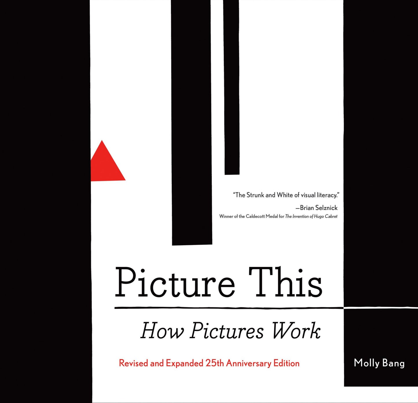 Picture This : How Pictures Work