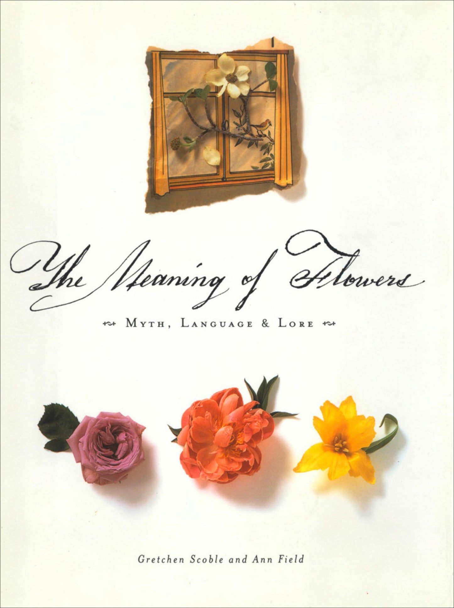 The Meaning of Flowers: Myth, Language & Lore