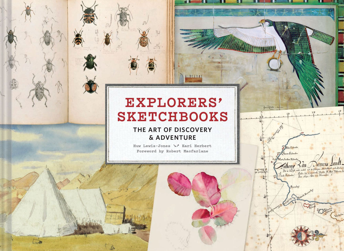 Explorers' Sketchbooks: The Art of Discovery & Adventure