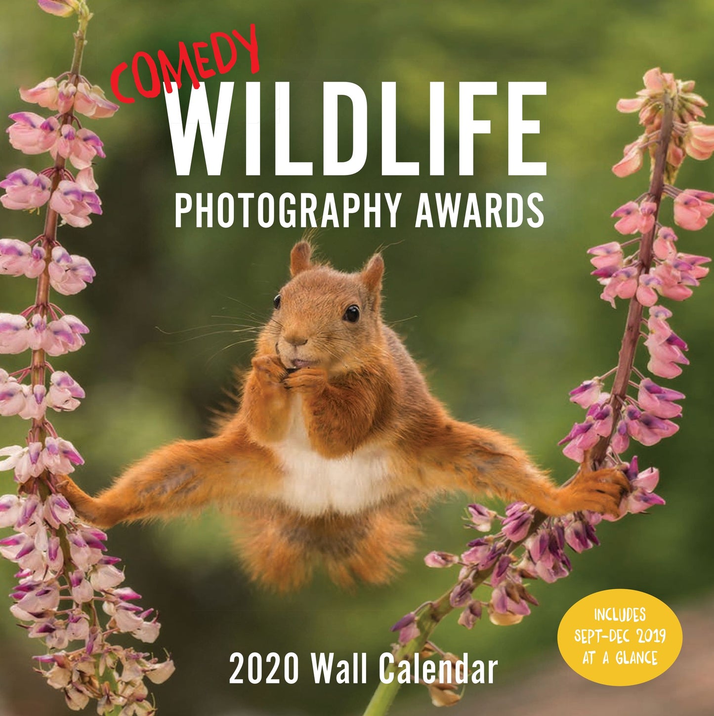 Comedy Wildlife Photography Awards 2020 Calendar
