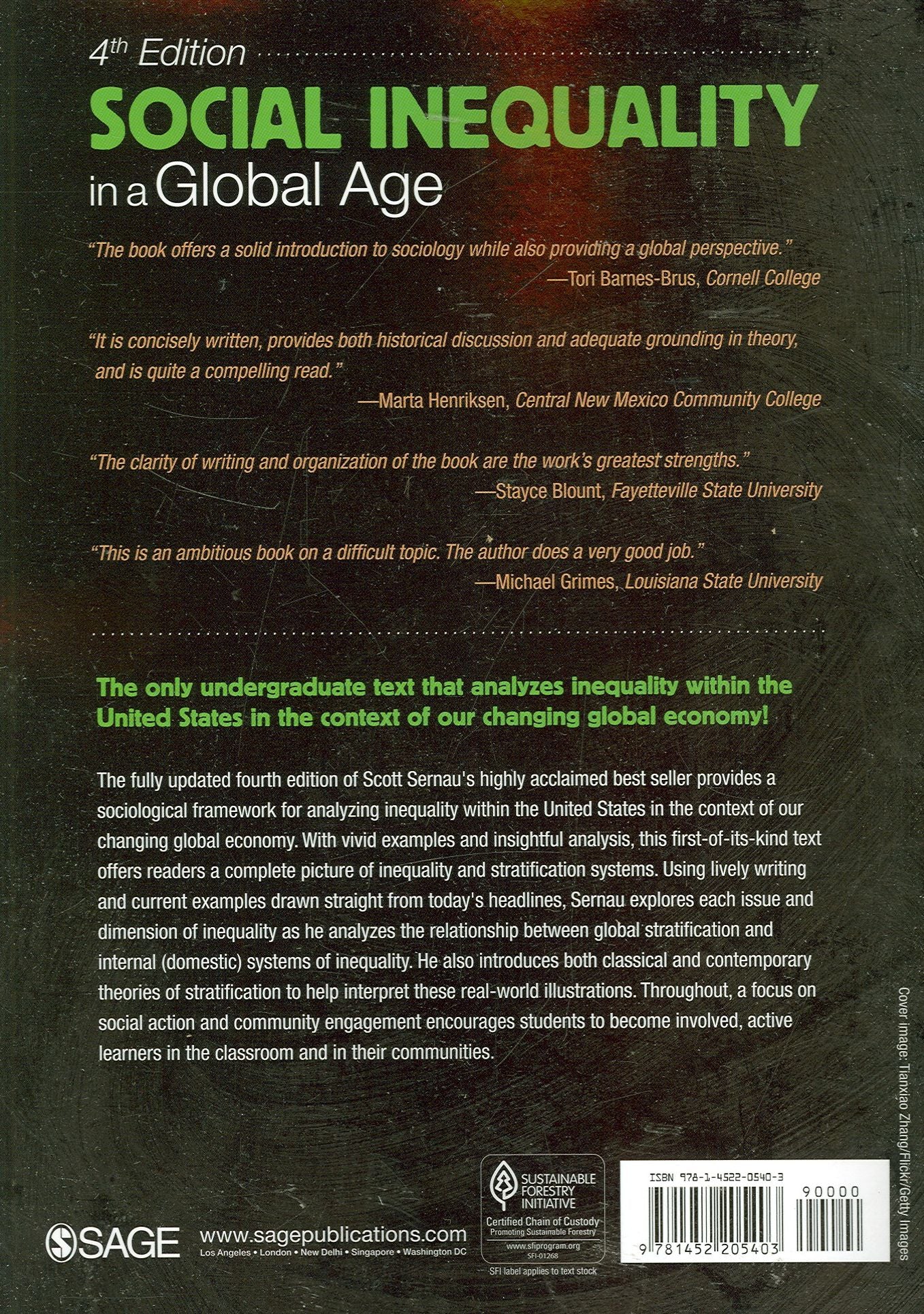 Social Inequality in a Global Age