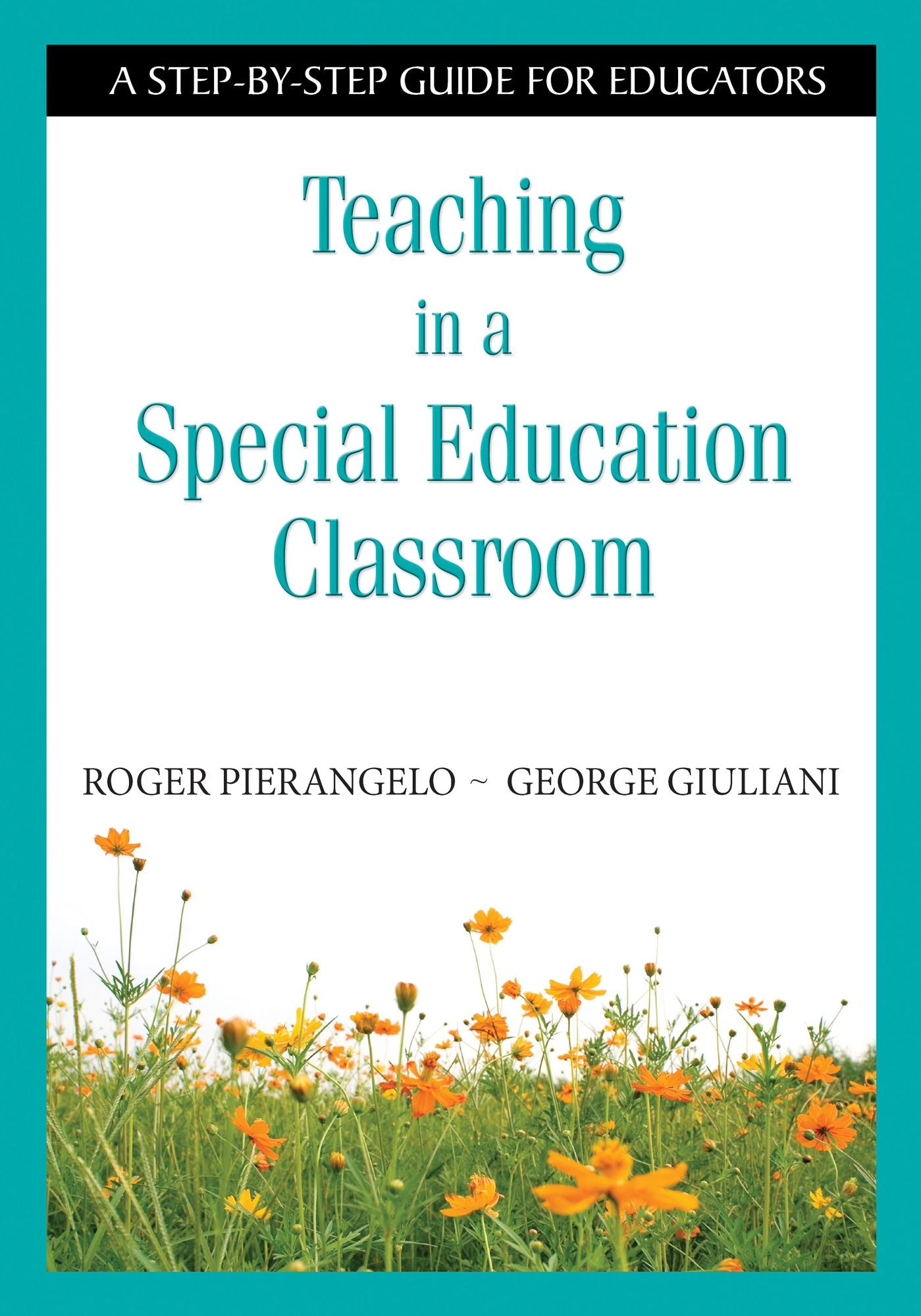 Teaching in a Special Education Classroom: A Step-by-Step Guide for Educators