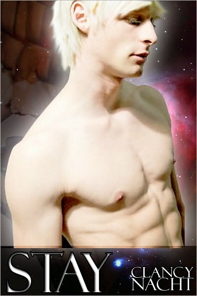 Stay: A Gay SciFi Erotic Short Story