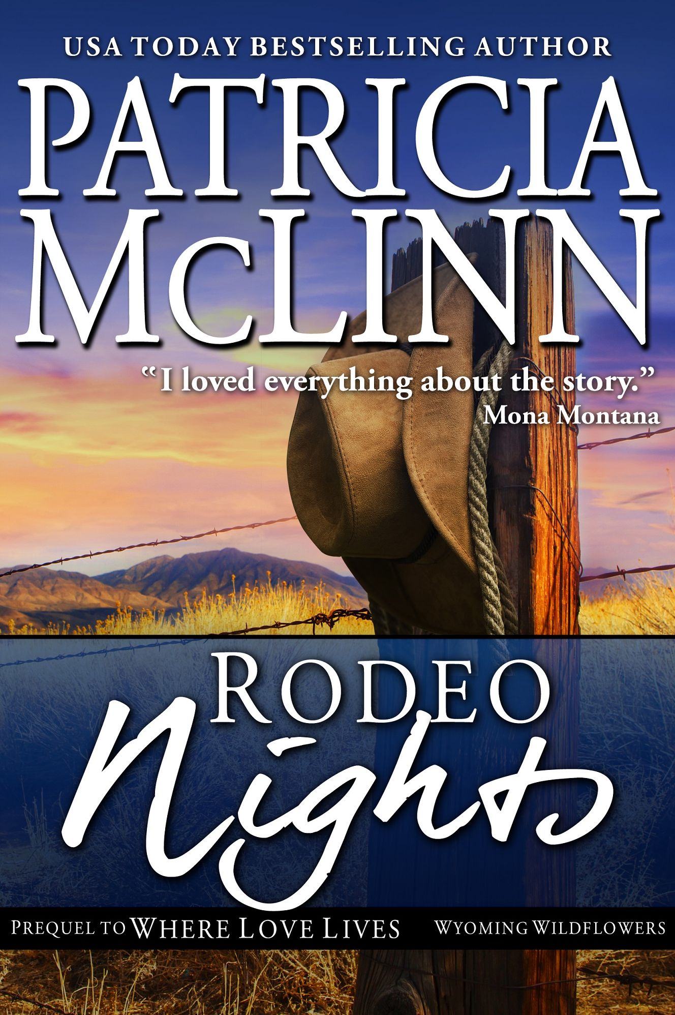 Rodeo Nights (Prequel to Where Love Lives: The Inheritance)