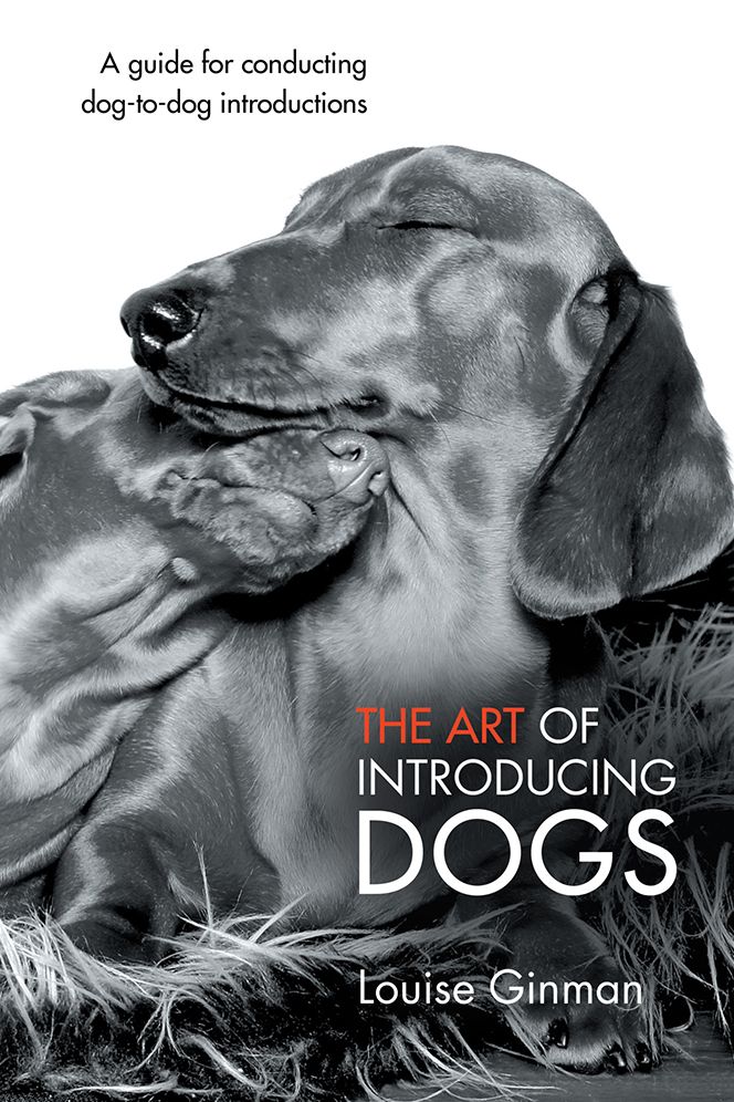The Art of Introducing Dogs: A guide for conducting dog-to-dog introductions