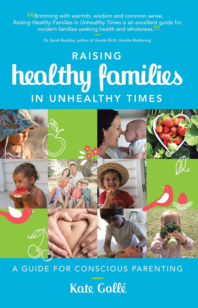 Raising Healthy Families in Unhealthy Times: A Guide for Conscious Parenting