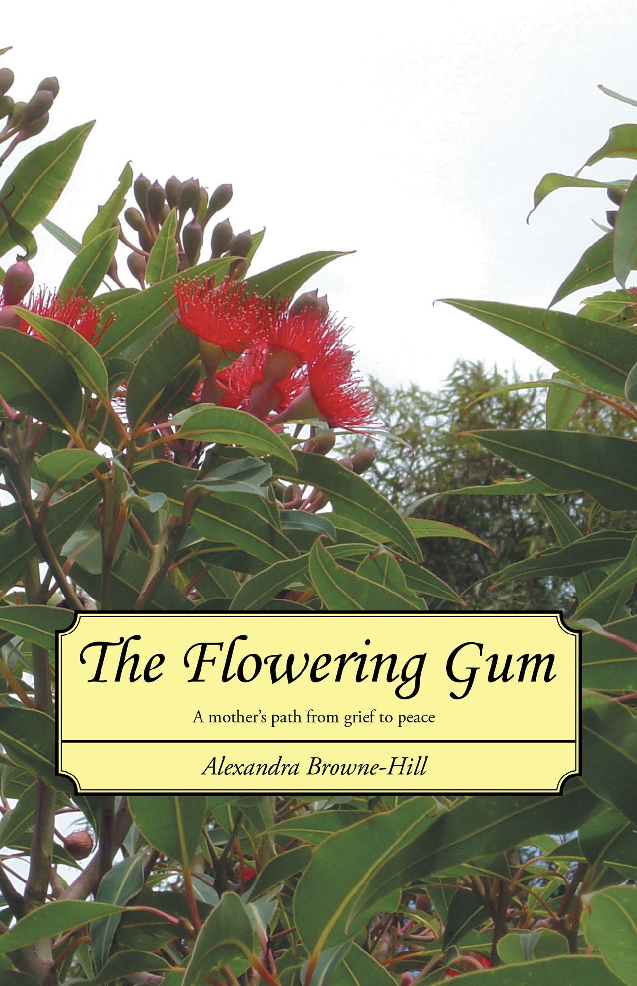 The Flowering Gum: A mother's path from grief to peace